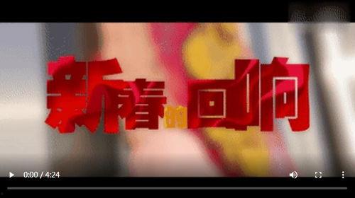 最新回响爆料视频大全,揭秘热点事件背后的真相与内幕